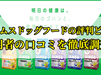 アイムスドッグフードの口コミを徹底調査！